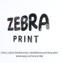 itery-z-plexi-bezbarwnej-i-plexi-kolorowej